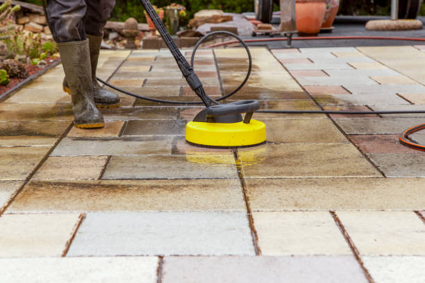 Best Gutter Cleaning  in Wixom, MI