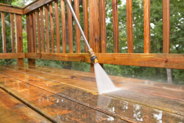 Best Dumpster Area Cleaning  in Wixom, MI